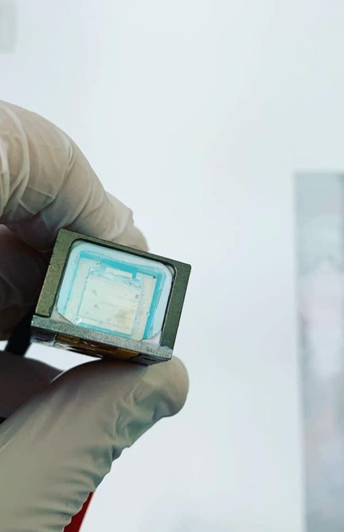 photo 2024 07 03 15 19 50